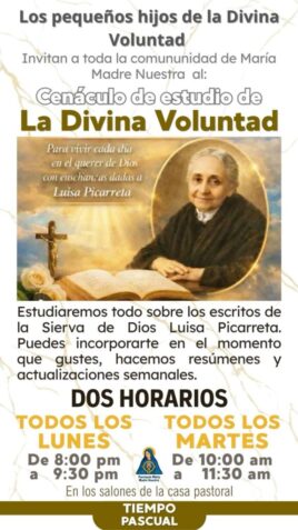 Divina Voluntad